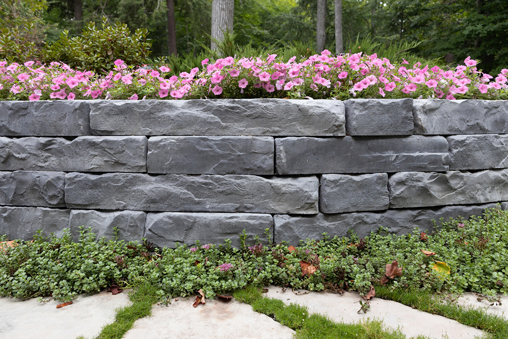 Grand Ledge Middle Picture