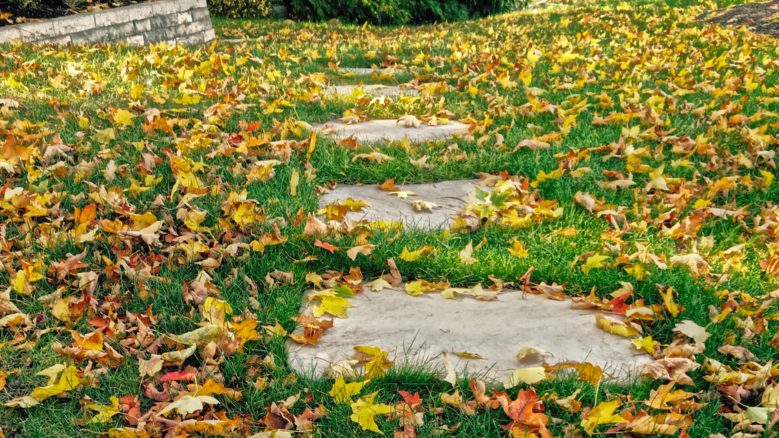 Why Superior Steppers